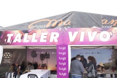 02_-taller-vivo-2